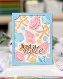 WAFFLE FLOWER:  Seashell Texture | Die