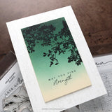 Kristina Werner | C9 : Stamp & Die Bundle | Calm Canopy