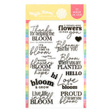 WAFFLE FLOWER: Full Bloom Sentiments | Combo Stamp & Die