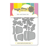 WAFFLE FLOWER: Die | Pots and Plants