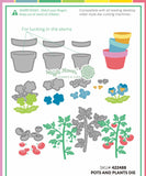 WAFFLE FLOWER: Die | Pots and Plants