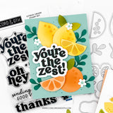 CONCORD & 9 th : Citrus Crush | Stamp and Die Bundle