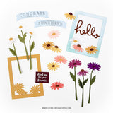 CONCORD & 9 th : Die | Daisy Delight
