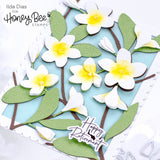 HONEY BEE STAMPS: Bold Backgrounds | Plumeria | Honey Cuts