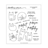 CONCORD & 9 th :  Live in the Meow | Stamp & Die Bundle