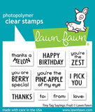 LAWN FAWN: Fruit | Tiny Tag Sayings | Stamp