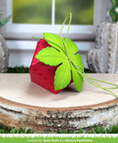 LAWN FAWN: Lawn Cuts Die | Strawberry Treat Box