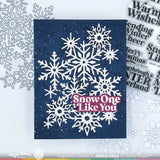 WAFFLE FLOWER: Snow Cheer Sentiments | Combo Stamp & Die