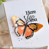 WAFFLE FLOWER: Paper Hug Sentiments | Combo Stamp & Die