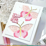 WAFFLE FLOWER: Paper Hug Sentiments | Combo Stamp & Die