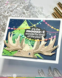 WAFFLE FLOWER: A-moose-ing Sentiments | Combo Stamp & Die