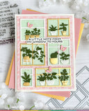 WAFFLE FLOWER: Die | Postage Collage Windows