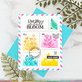 WAFFLE FLOWER: Full Bloom Sentiments | Combo Stamp & Die
