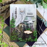 HONEY BEE STAMPS: Lovely Layers: Owl | Honey Cuts