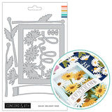 CONCORD & 9 th : Die | Daisy Delight