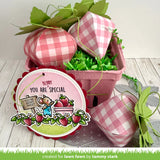 LAWN FAWN: Lawn Cuts Die | Strawberry Treat Box