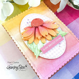 HONEY BEE STAMPS: Lovely Layers: Coneflower | Honey Cuts